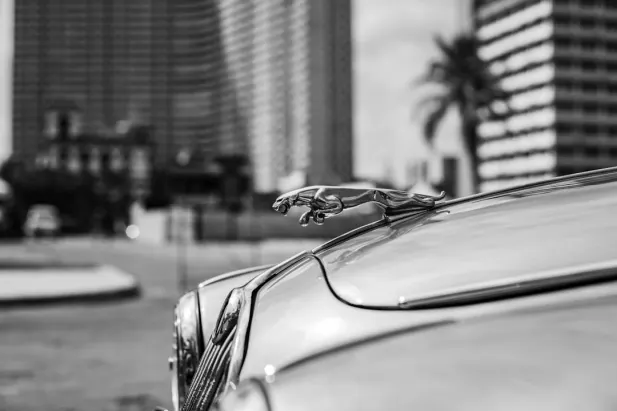 カジノ ロイヤル ベット Android/iOS アプリ